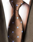 Brunt og lilla ternet slips