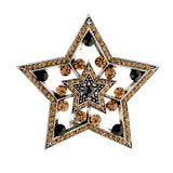 Stjerne broche